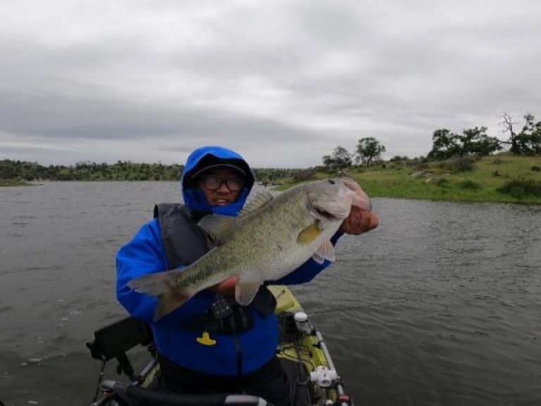 Damian Thao is triumphant at Eastman Lake with BASS 559 - I started the morning fishing a pre-spawn area that is offshore and quickly found the fish were not willing to bite