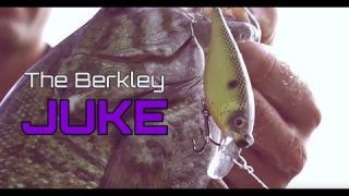 NEW Berkley® Juke
