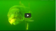 Lake trout underwater bites strikes and follows  VIDEO