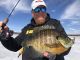 Tackle tips to catch more panfish