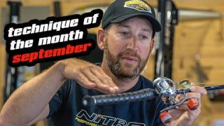 Technique Of The Month | September | Shallow Reaction Bites