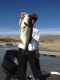 Another Lake Record Catch on Naci