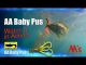 Underwater Viewpoint | AA Baby Pus Trailer in Action | Optimum