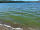 29 Clear Lake Sites Tested For Cyanobacteria