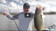 Brett Hite rigs the new Paddle Tail Zako VIDEO