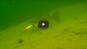 Underwater Trolling Bites VIDEO