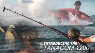 Introducing the Daiwa Tanacom 1200
