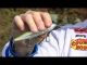 Knot How-To:Tying a Loop Knot  #Seaguar