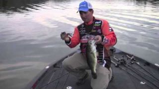 The difference in buzzbait sound | IMA Buzzbait with Paul Mueller