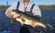 Comprehensive Delta Fishing Report | Update Dec 2