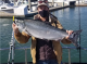 Virtual Ocean Salmon Fisheries Public Meeting Hosted by CDFW