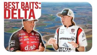 You NEED These Baits For The California Delta