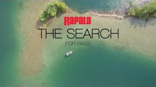 The Search for Bass