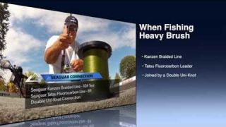 Underwater Viewpoint | Lines for Fishinng Heavy Brush #Seaguar