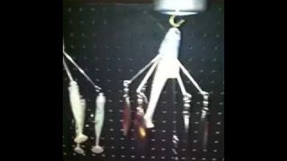 2012  ICAST ADT Lures