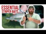 These Striper Baits Are CRUCIAL!