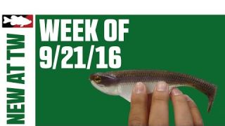 What's New At Tackle Warehouse | Sept 21